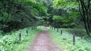 トトロの森・狭山丘陵いきものふれあいの里