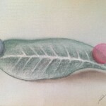 17 喜びを共有する